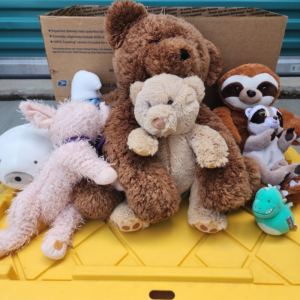 Lot of 8 Plush Toys with One Large Bear